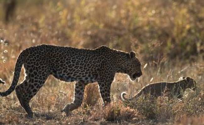 KRUGER PRIVATE RESERVES