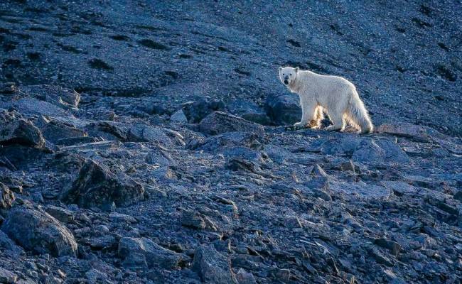 Canada: Arctic Wilderness Lodge