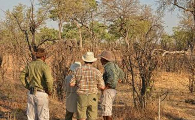 HWANGE NATIONAL PARK