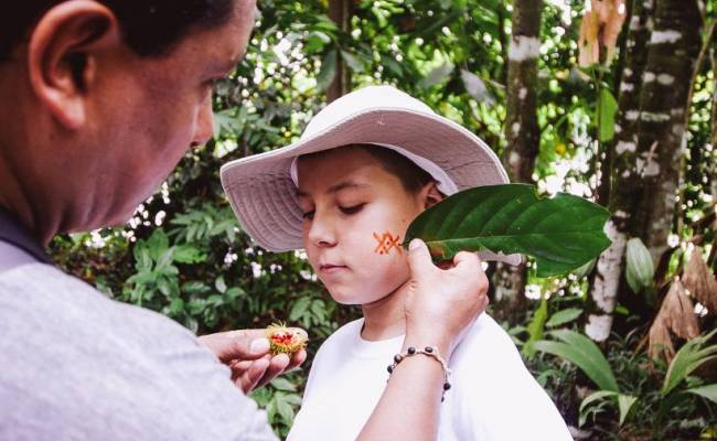 Ecuador Andes & Amazon