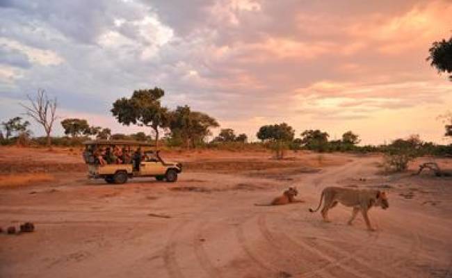 HWANGE NATIONAL PARK