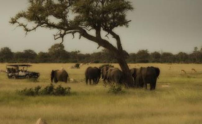 HWANGE NATIONAL PARK