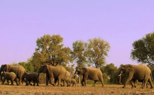 SABI SANDS PRIVATE GAME RESERVE