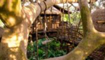 SWISS FAMILY TREEHOUSE