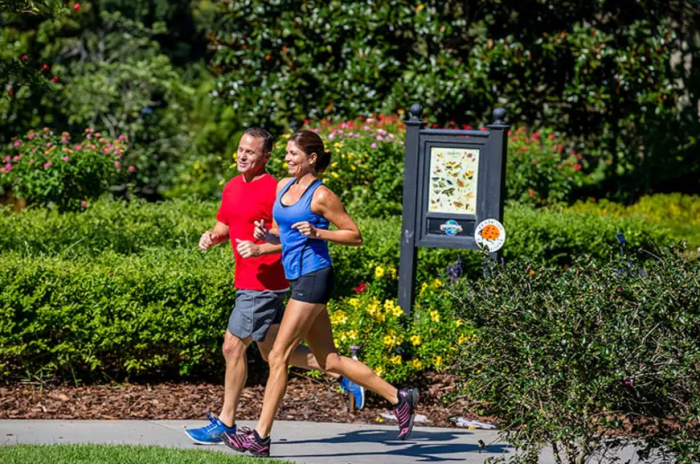 Walking And Jogging Paths