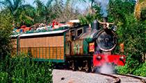 WILDLIFE EXPRESS TRAIN